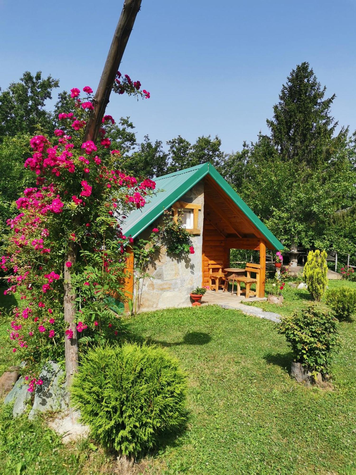מויקובאץ Gazela Bungalov 1 מראה חיצוני תמונה